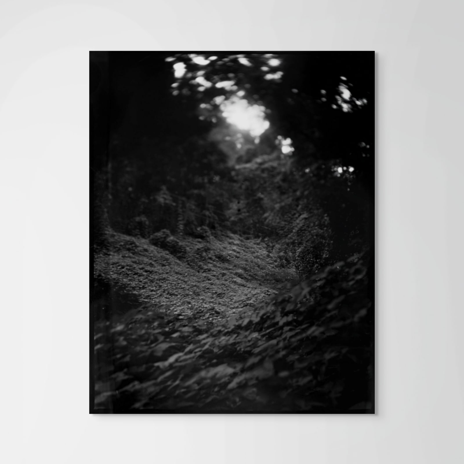 Emily White, Goshen, 2021