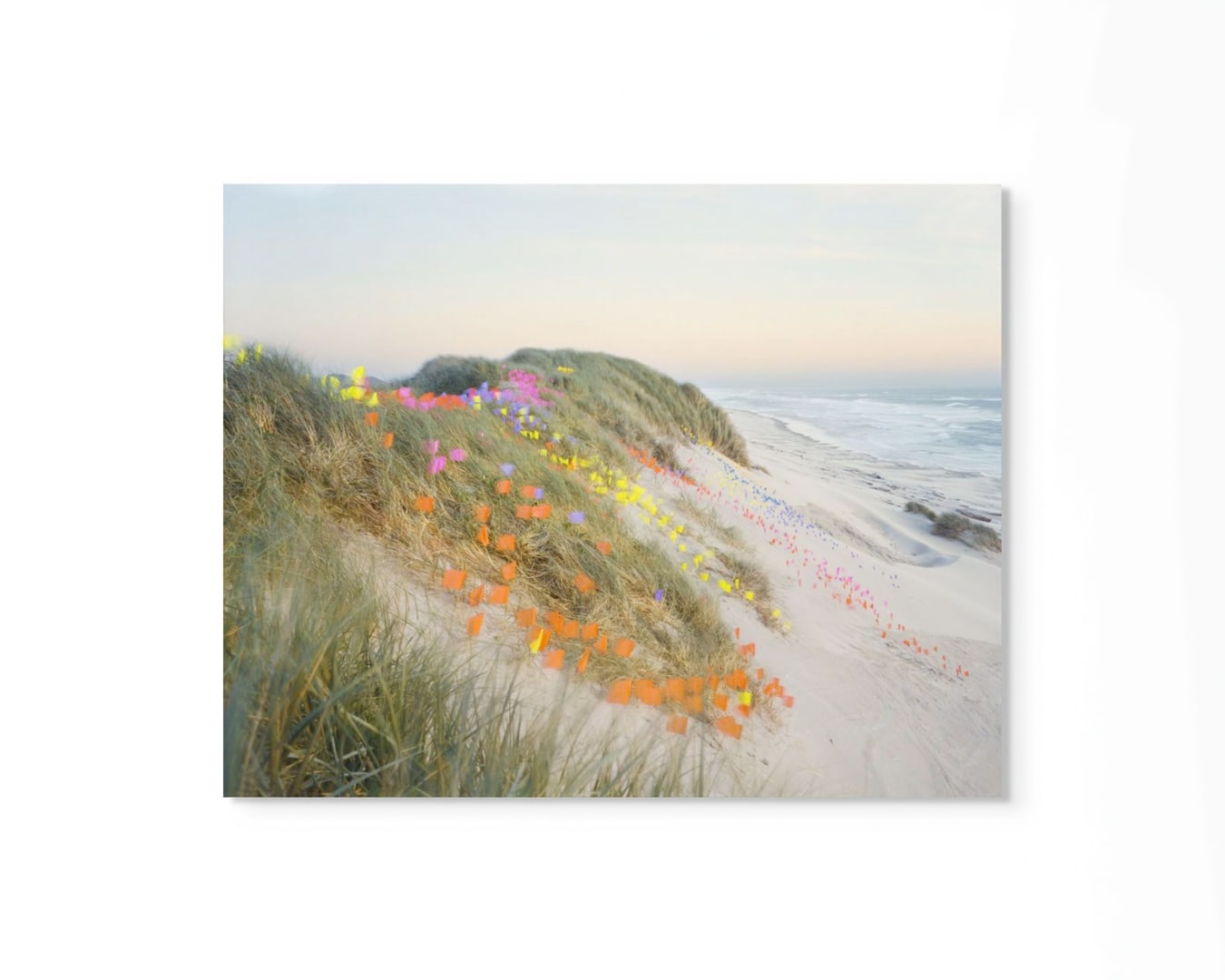 Thomas Jackson, Flats no. 1, Oregon Dunes National Recreation Area, Oregon, 2019