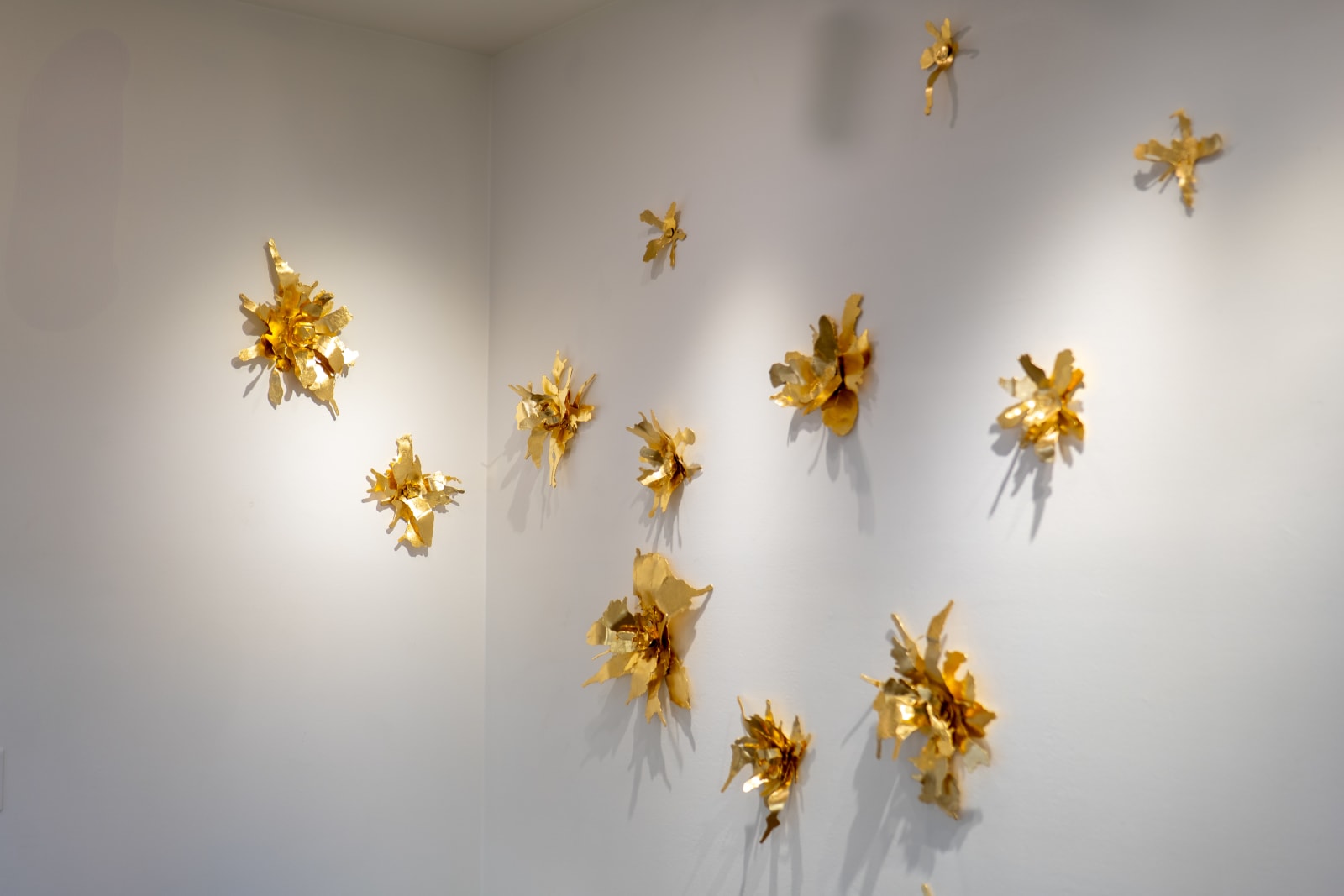 Peter Cochrane, The Alchemist’s Garden, 2025