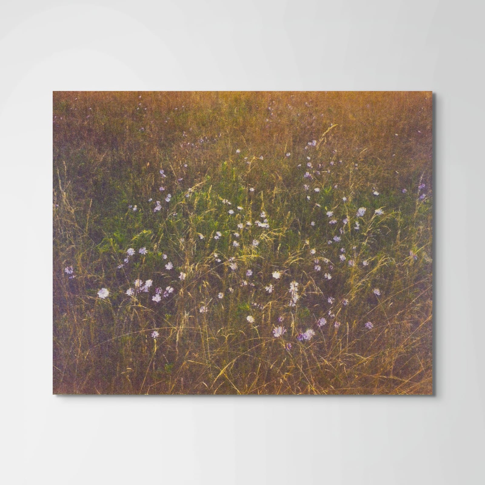 Peter Cochrane, Year One, Spring, 2020