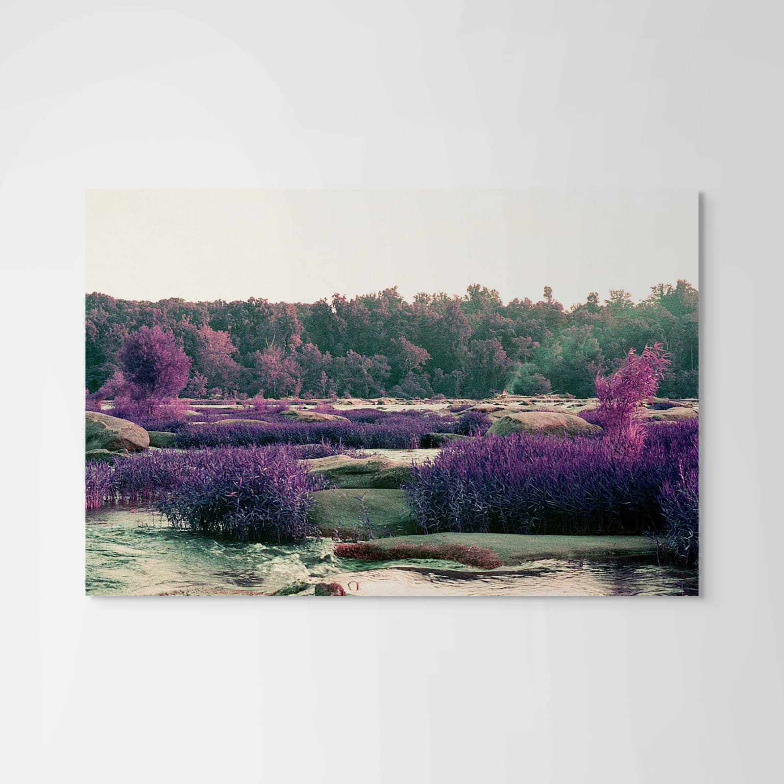 Cate Duckwall, Wetlands 4, 2023