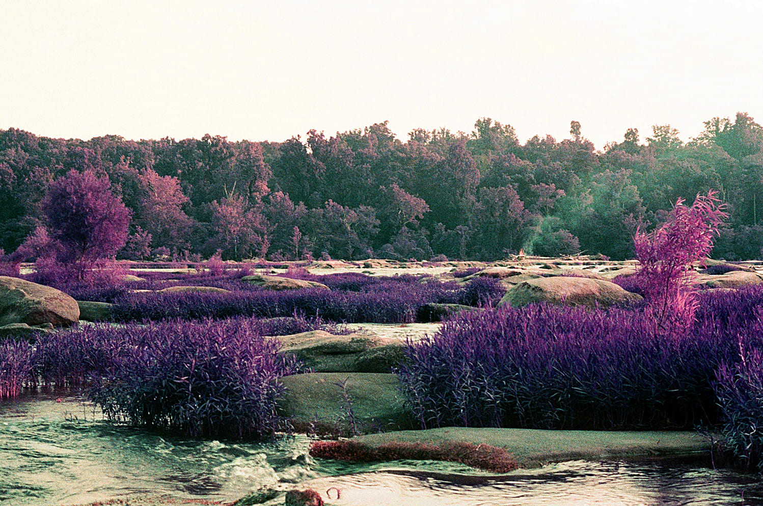 Cate Duckwall, Wetlands 4, 2023