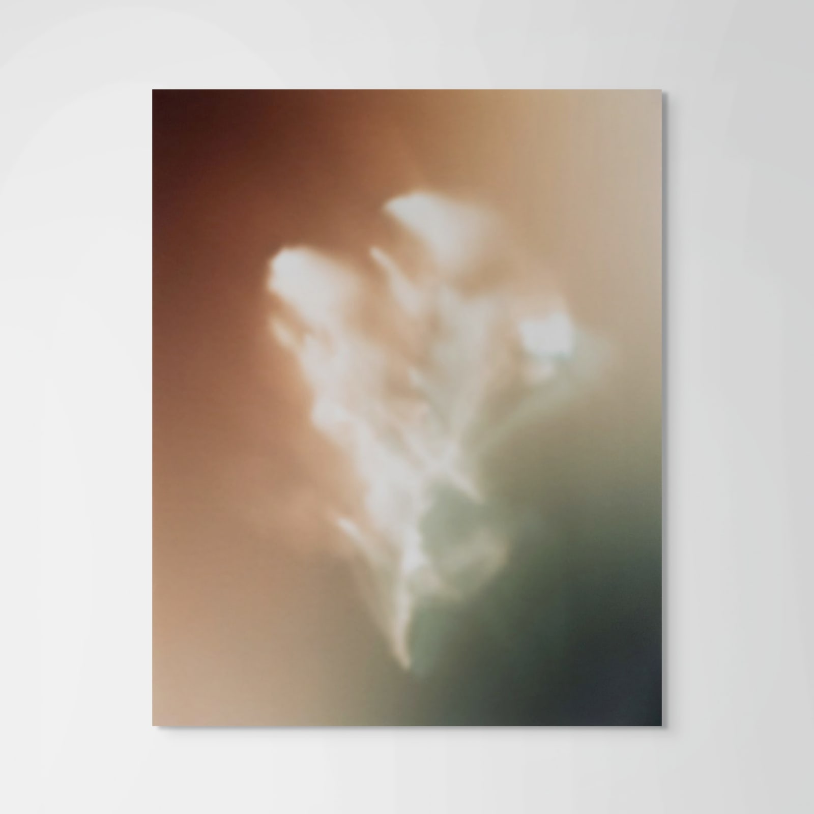 Peter Cochrane, Burned Rose - Red + Green, 2024