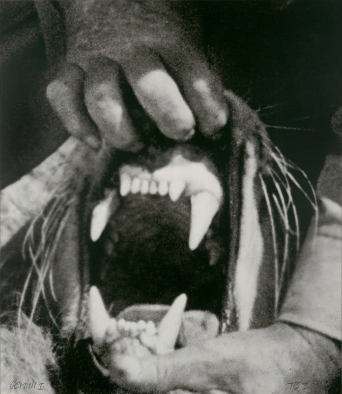 John Baldessari, Hands & Feet: Hands. Tiger & Teeth, 2017