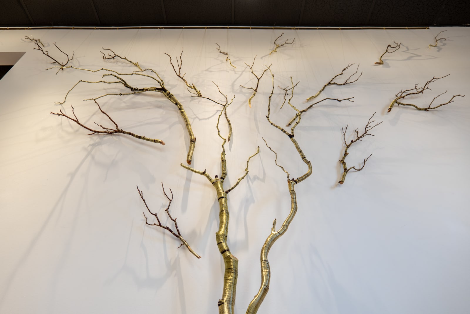 Peter Cochrane, A Continuum, 2025