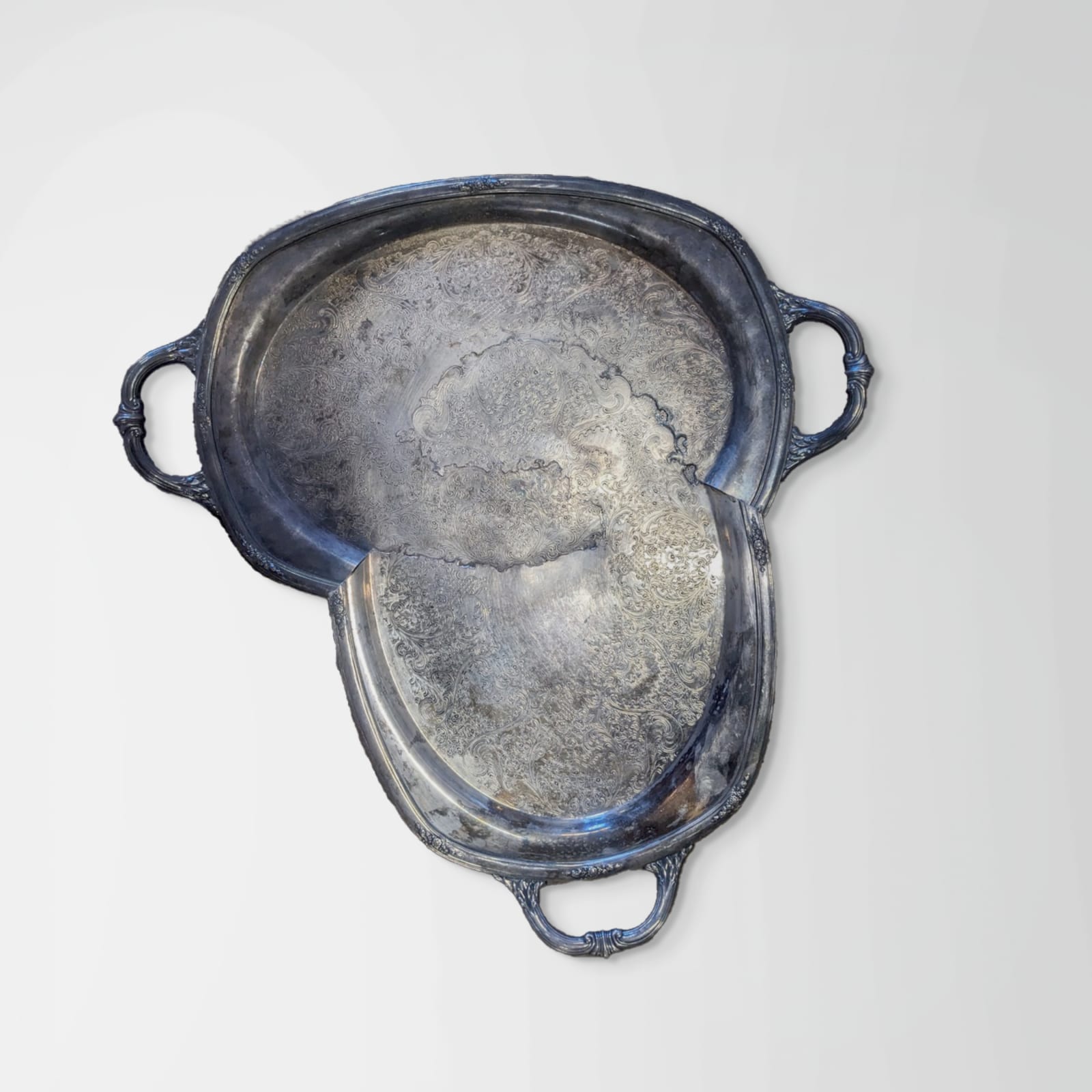 Jaydan Moore, Specimen #33, 2018