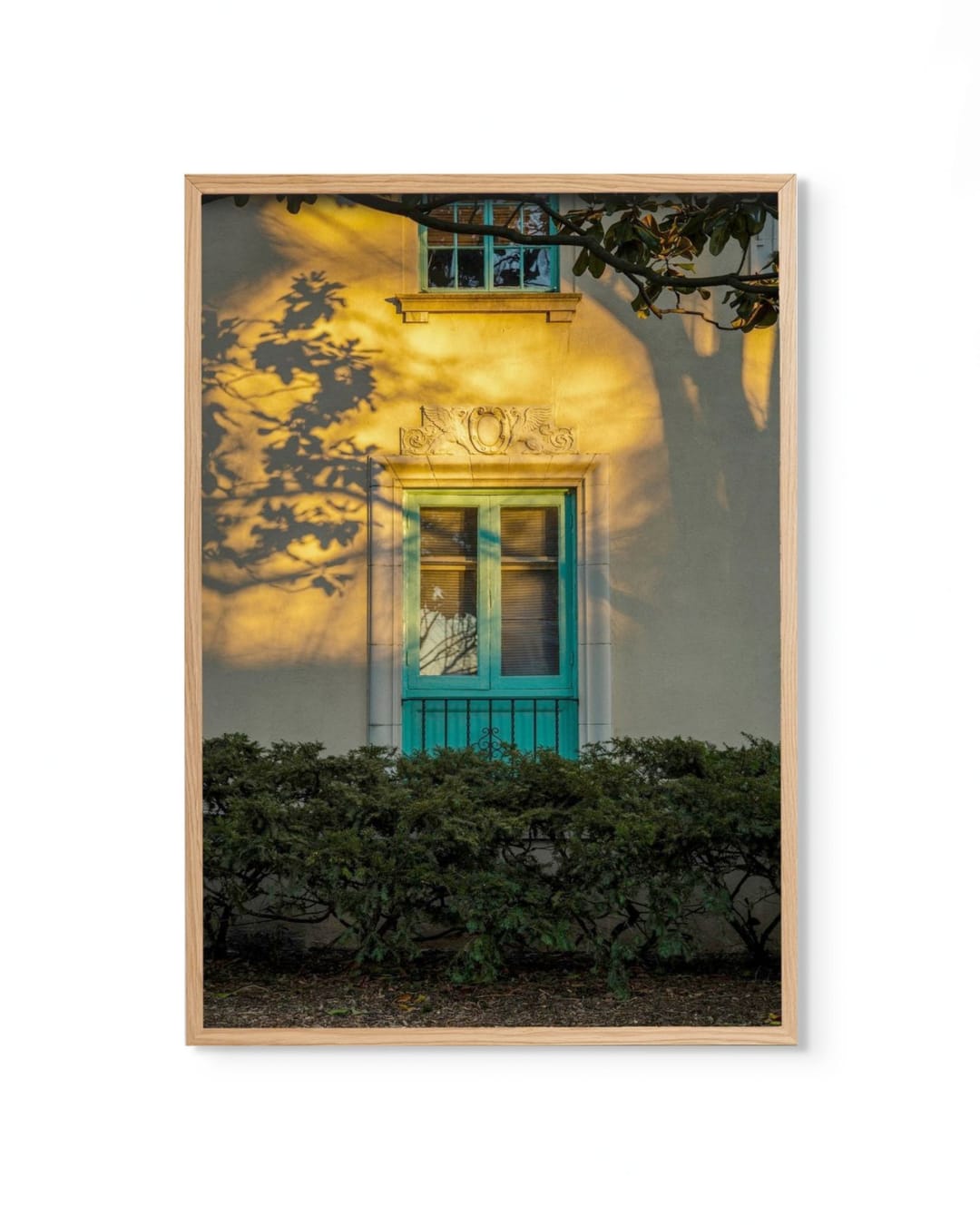 Riley Goodman, Forever At The Windows , 2021