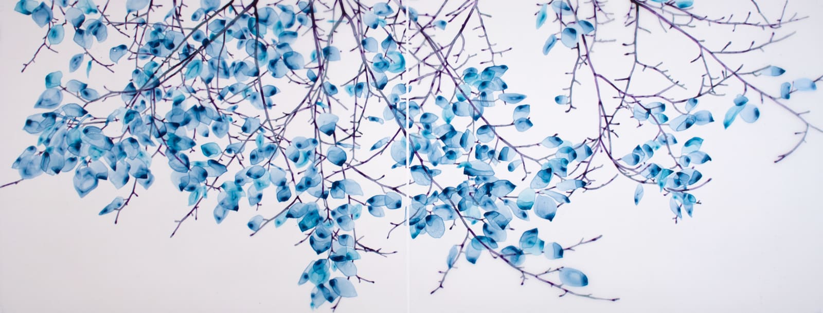 Jackie Battenfield, Vitreous, 2023