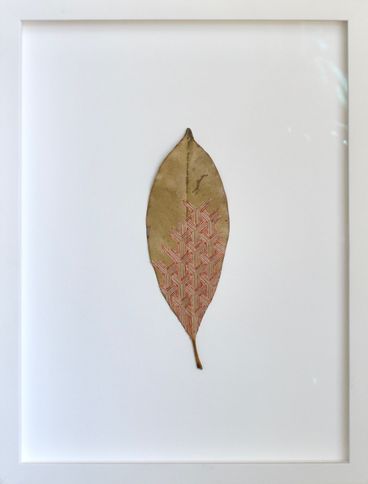 Hillary Waters Fayle, Pattern Overlays ii, 2022