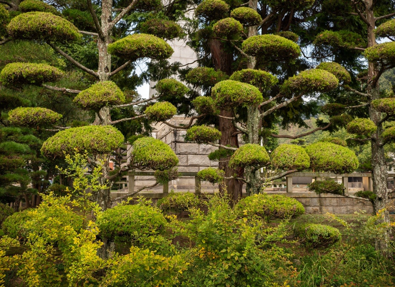 William Wylie, Shikoku 17-64, 2024