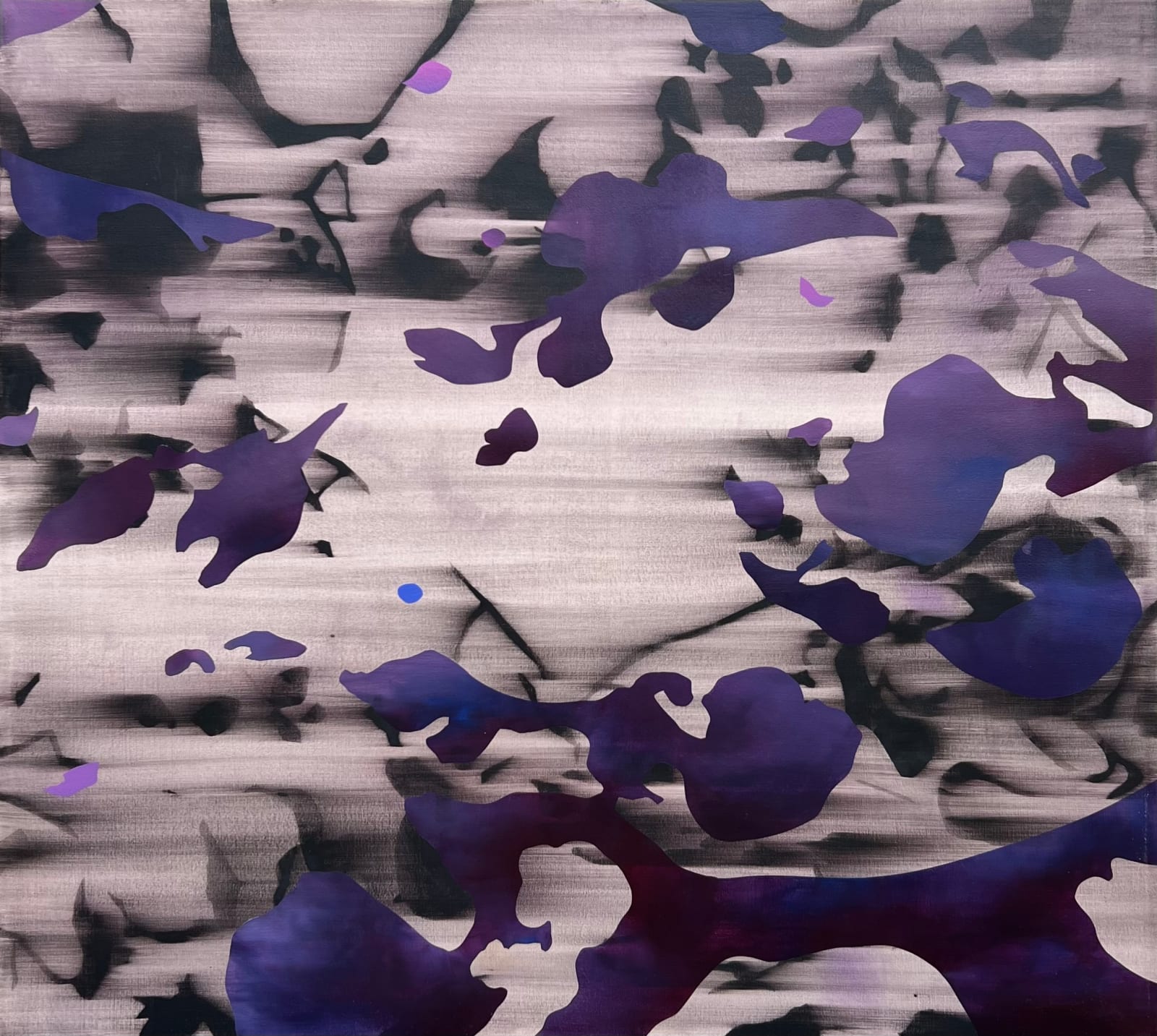 Dragana Crnjak, FIRST SIGHT I, 2023