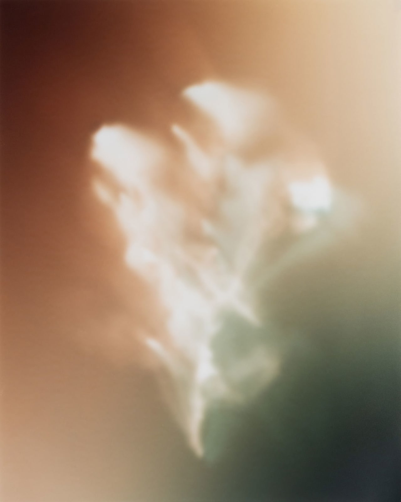 Peter Cochrane, Burned Rose - Red + Green, 2024