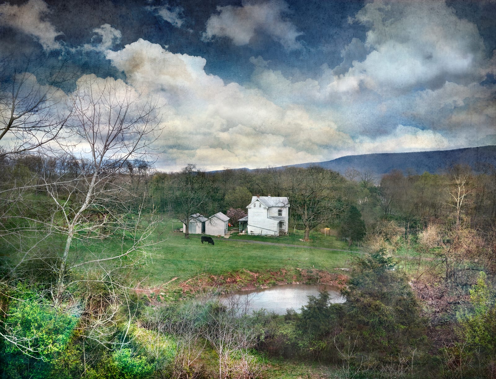 David Douglas, Off 81 Again, 2024