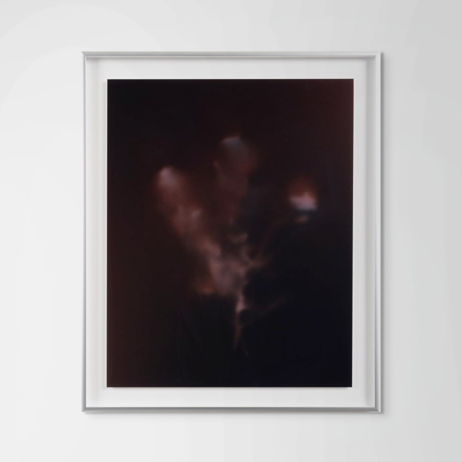 Peter Cochrane, The Magician Longs to See - Climbing Rose (Purple), 2024