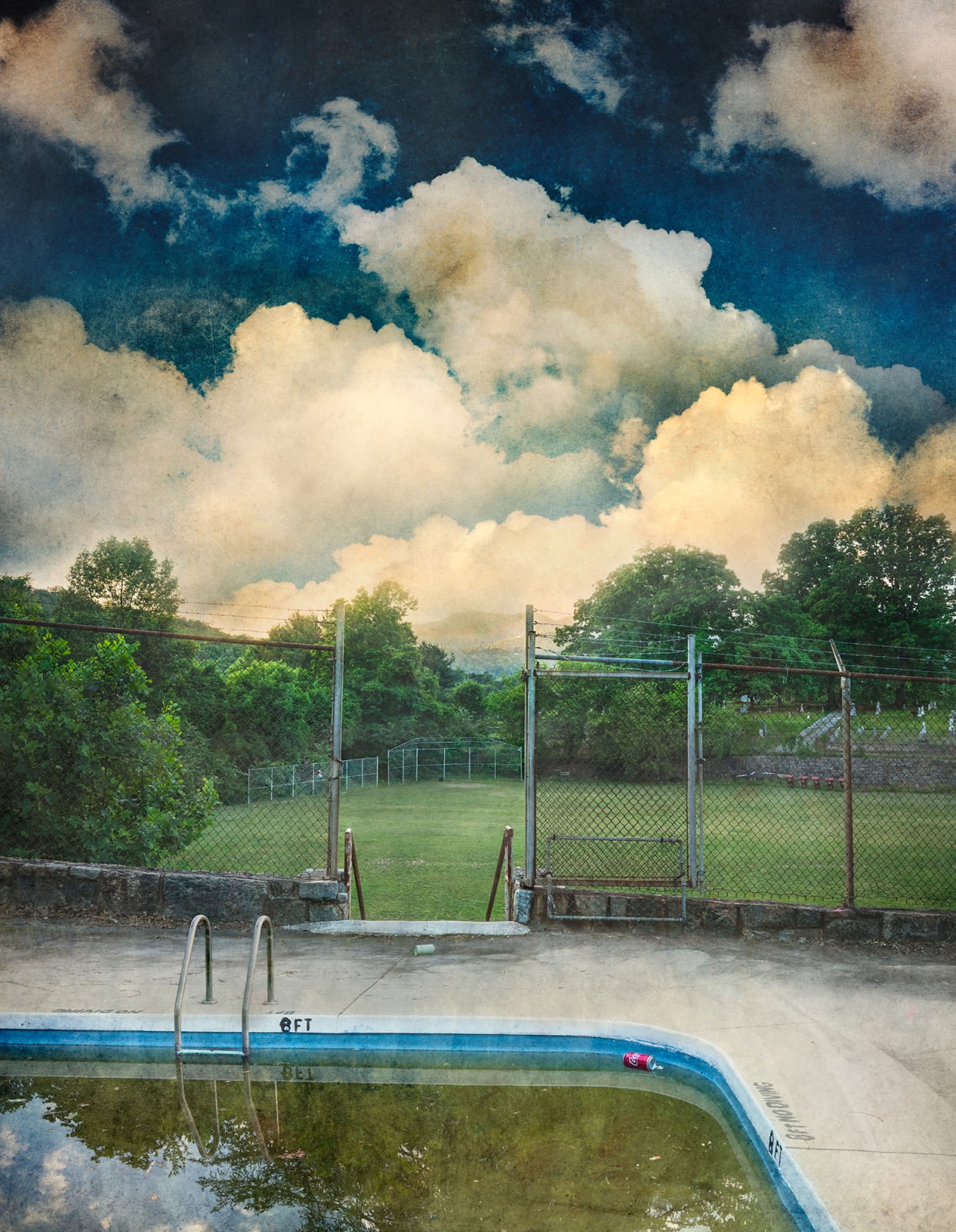 David Douglas, No Diving, 2019