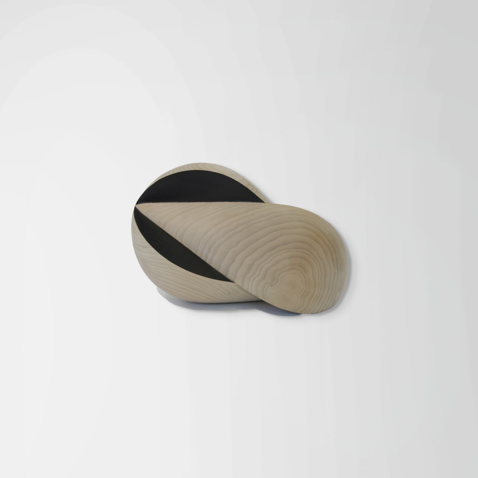 Vivian Chiu, Seed, 2024