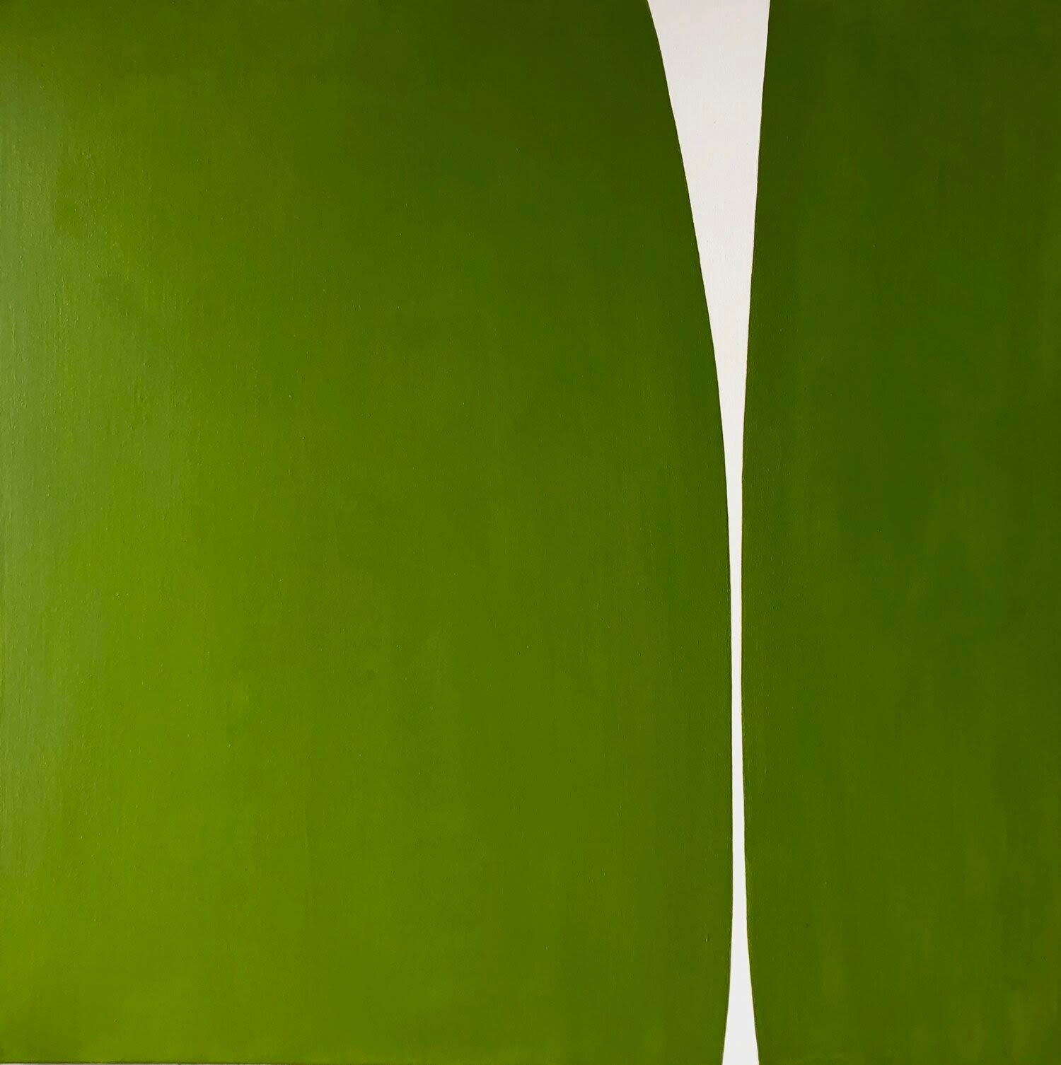 Laurie Fisher, Evergreen, 2019