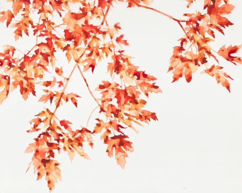 Jackie Battenfield, Sun Stroke