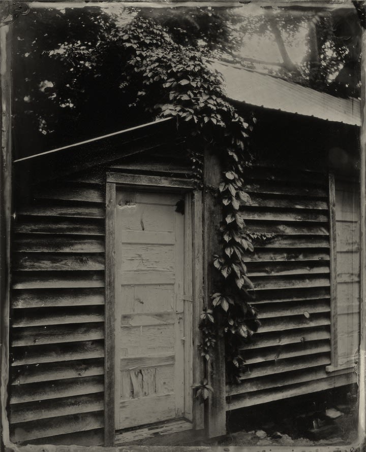 Emily White, Leave Me a Place Underground, 2017