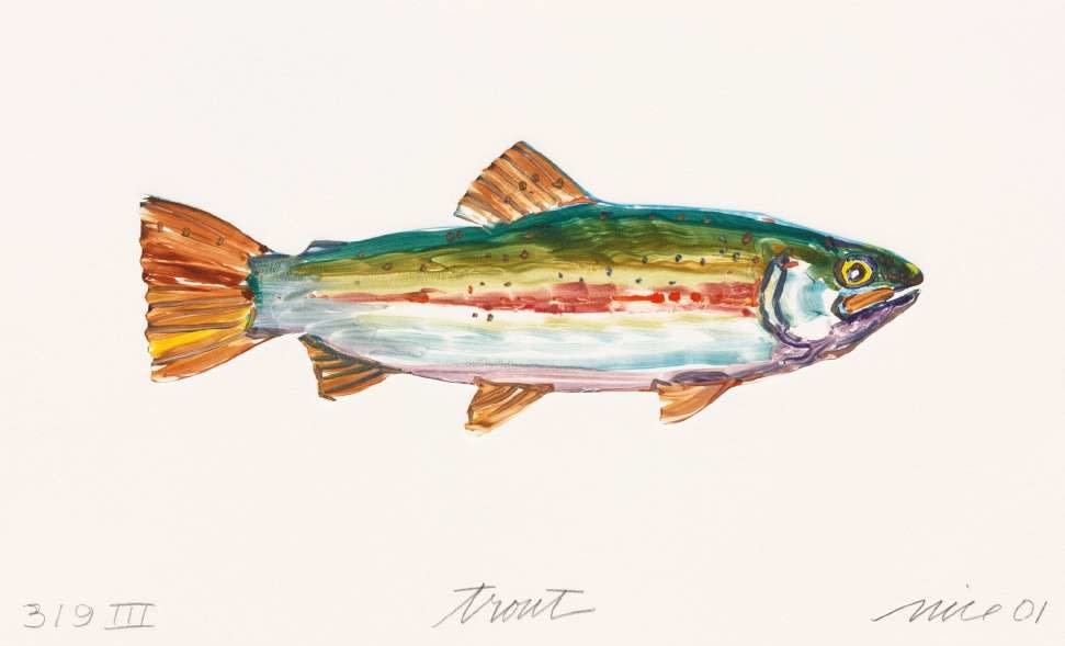 Don Nice, Trout III (319), 2001