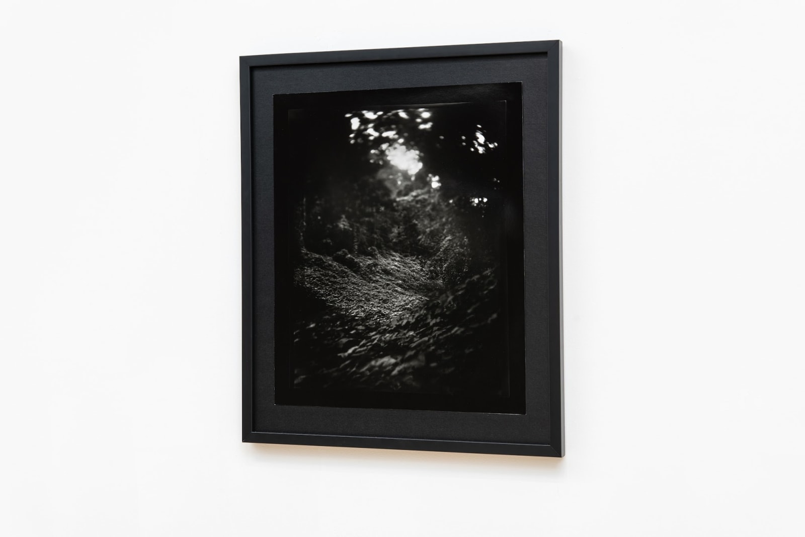 Emily White, Goshen, 2021