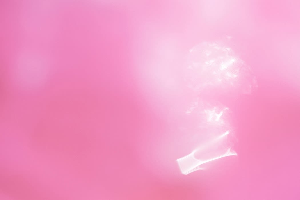 Jennifer Eason, Untitled 2 (from the Echo Cove series), 2013