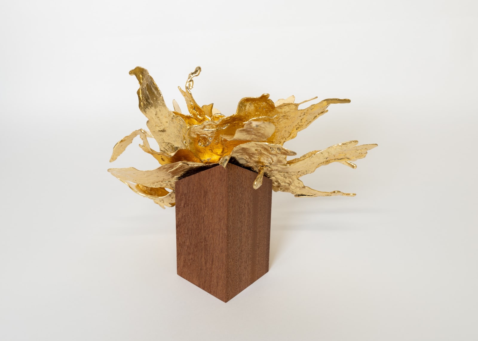 Peter Cochrane, The Alchemist’s Garden - Gold