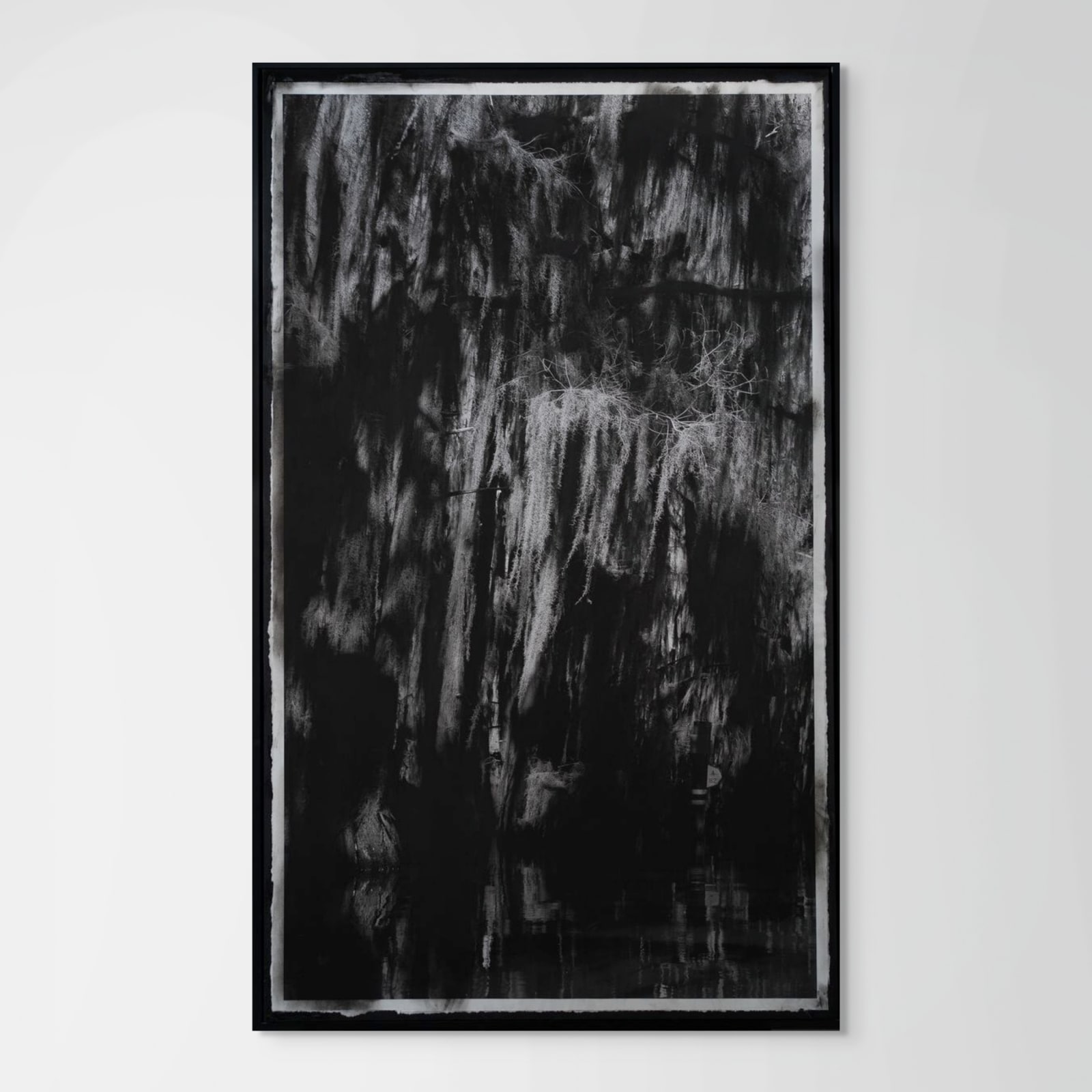 Caroline Minchew, Neither a lichen nor a moss, 2024