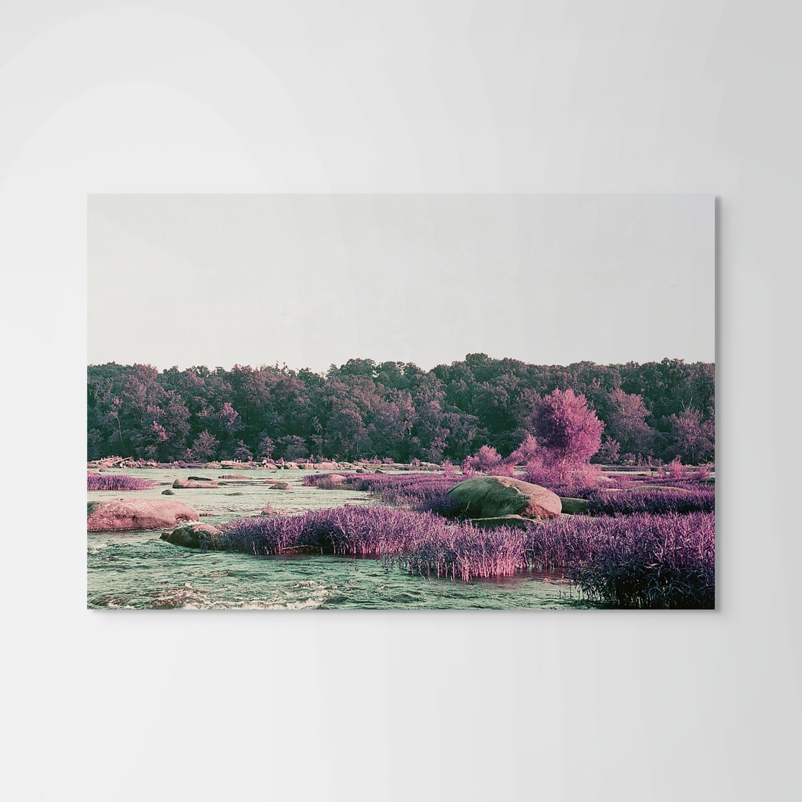 Cate Duckwall, Wetlands 3, 2023