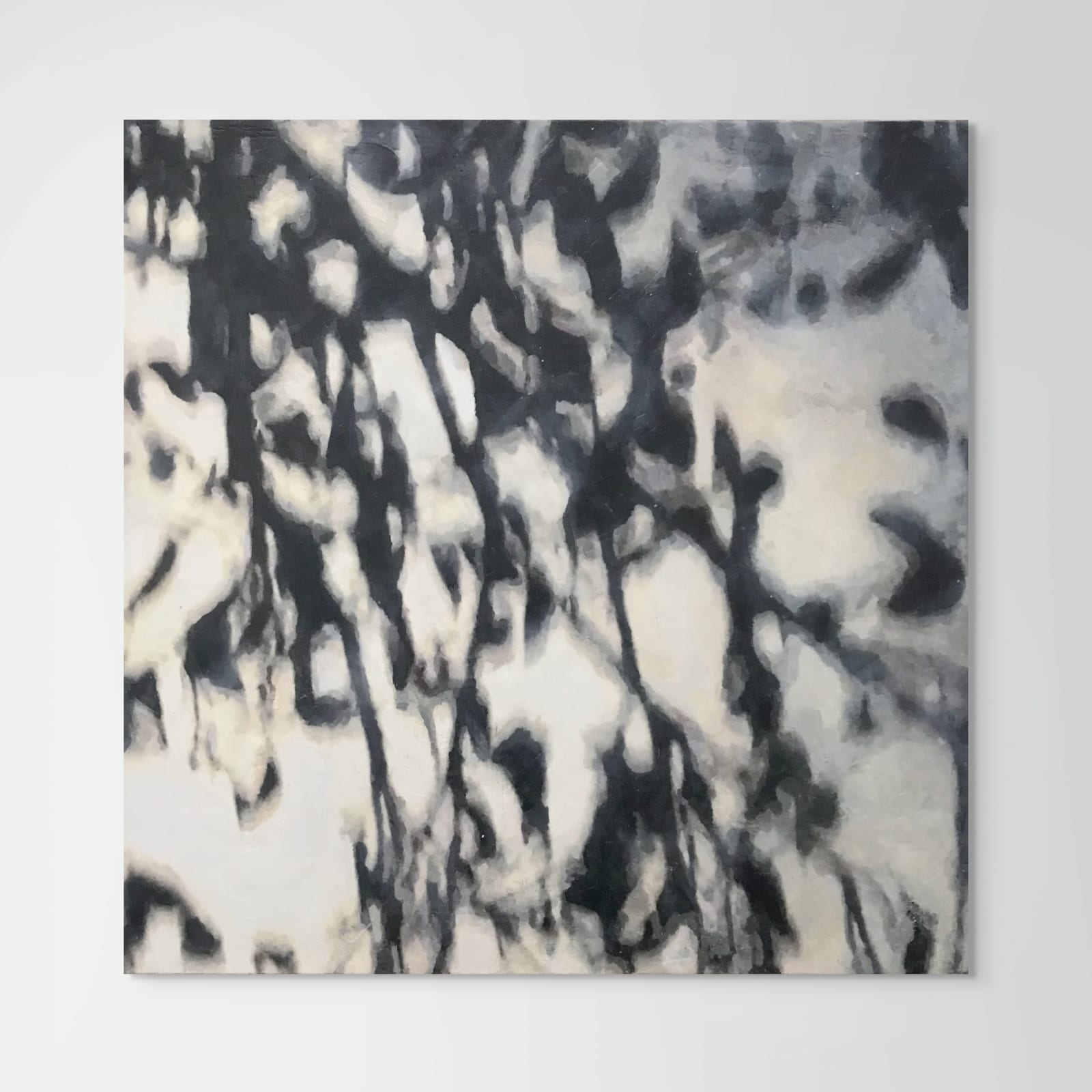 Alex Schuchard, Untitled Landscape