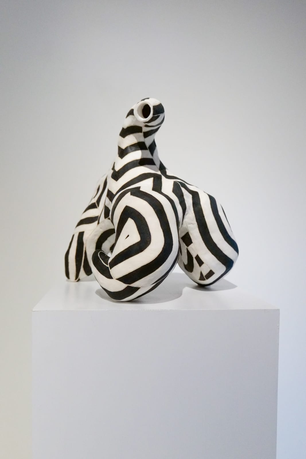 Abby Kasonik, Signal, 2024