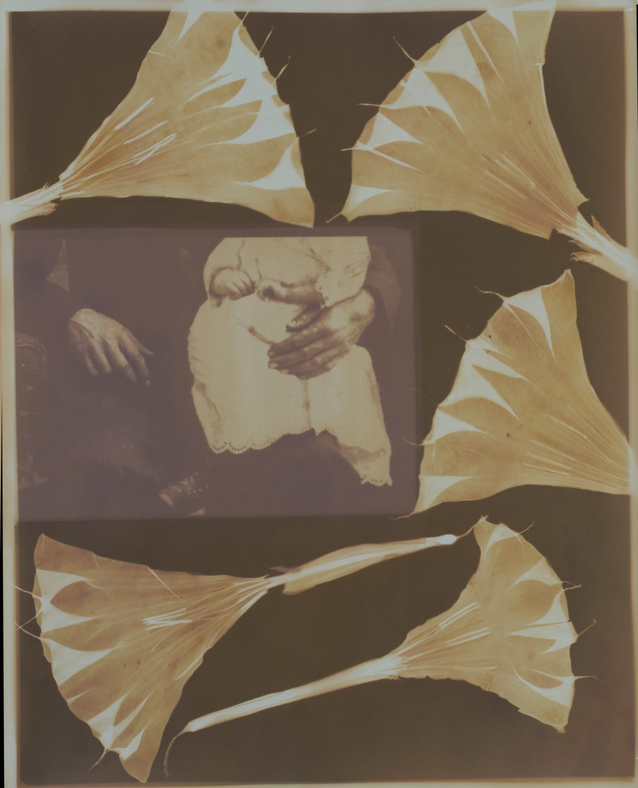 Willie Anne Wright, Papa and Babykins #2, 2012