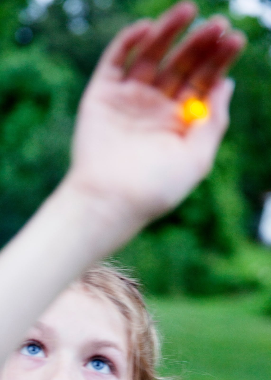 Elijah Gowin, Violet Catching Firefly, Danville, Virginia, 2016