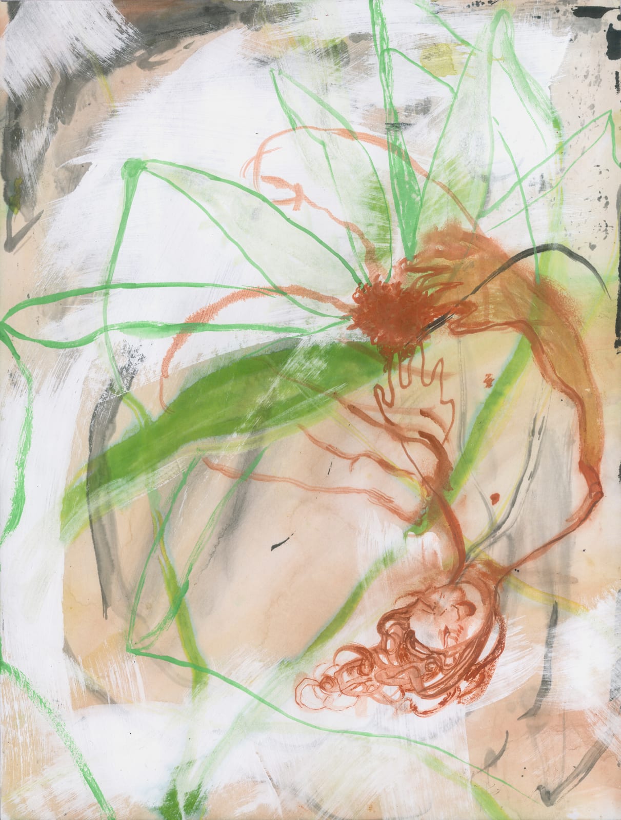 Eva Haupt 伊娃·豪普特, 毛蜘蛛 Hairy Spider, 2024
