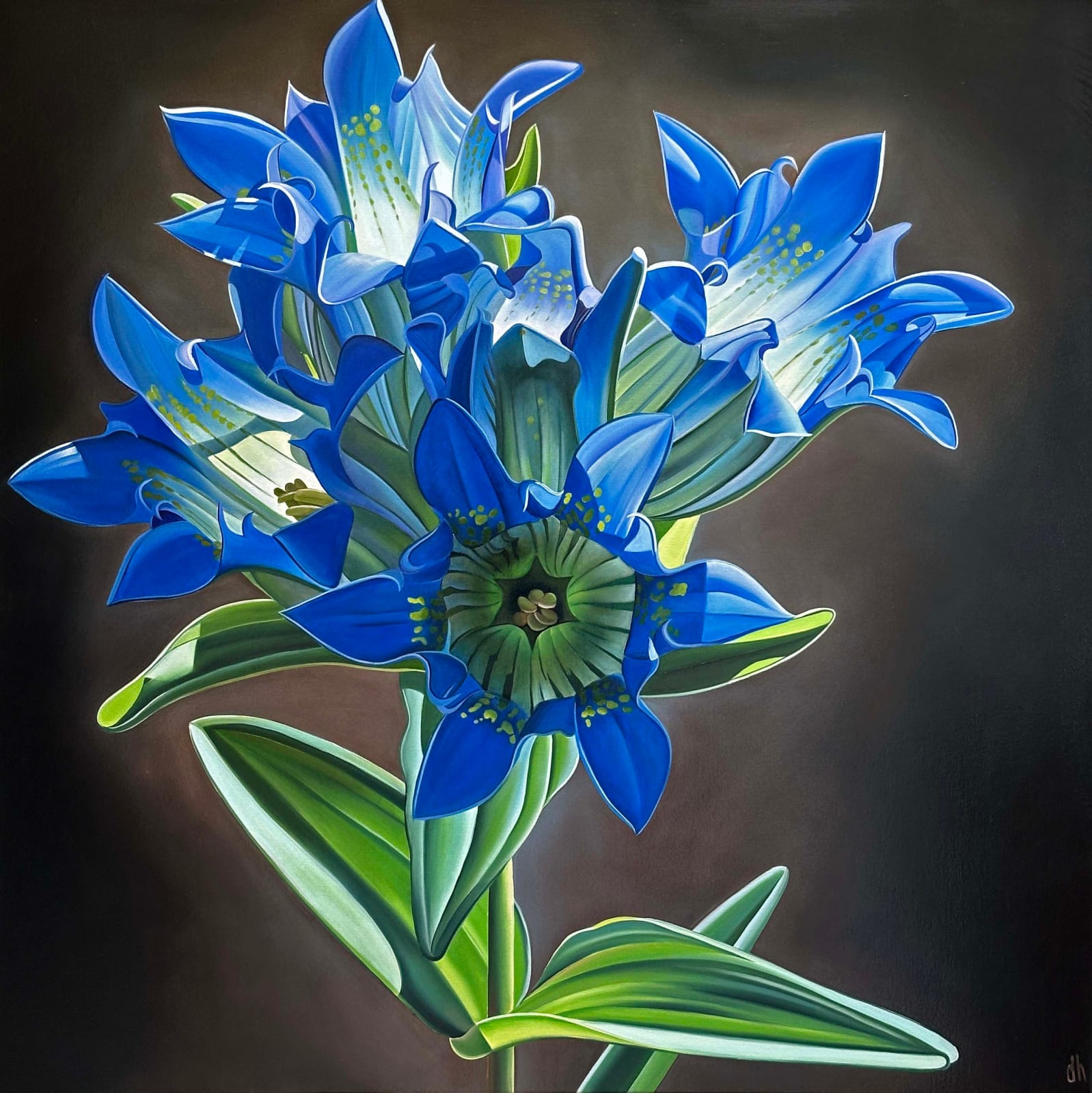 Dyana Hesson, "Only on Sunny Days, Parry's Gentian, West Baldy Trail, AZ", 2025