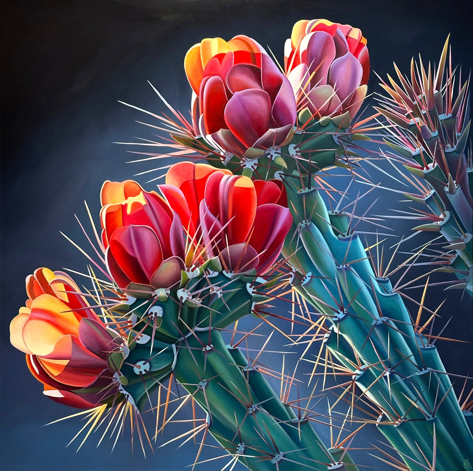 Dyana Hesson, "Skyrocketing Growth, Garnet Cholla Blooms, Near Queen Vallery, AZ", 2025