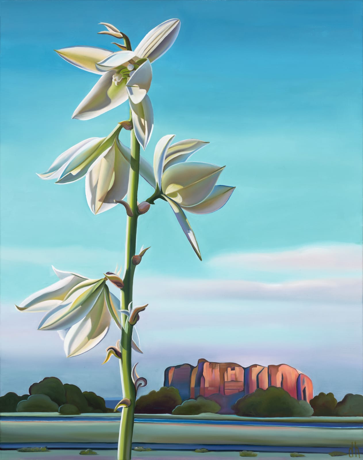 Dyana Hesson, "Sedona Windsock Soap Tree Yucca, Sedona Airport", 2024