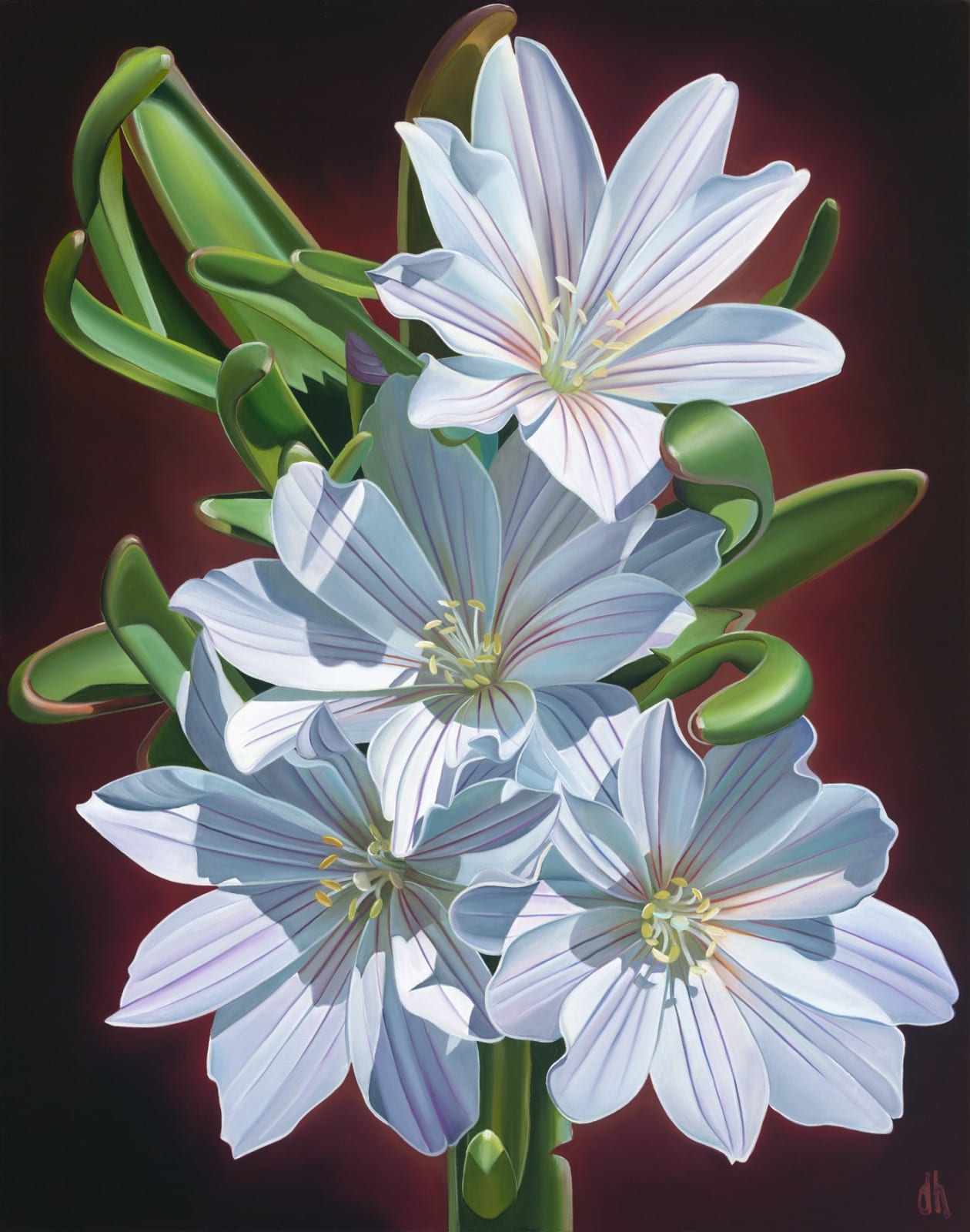 Dyana Hesson, "A Celebration of Thunder, Bitterroot, Maztzal Wilderness, AZ", 2025