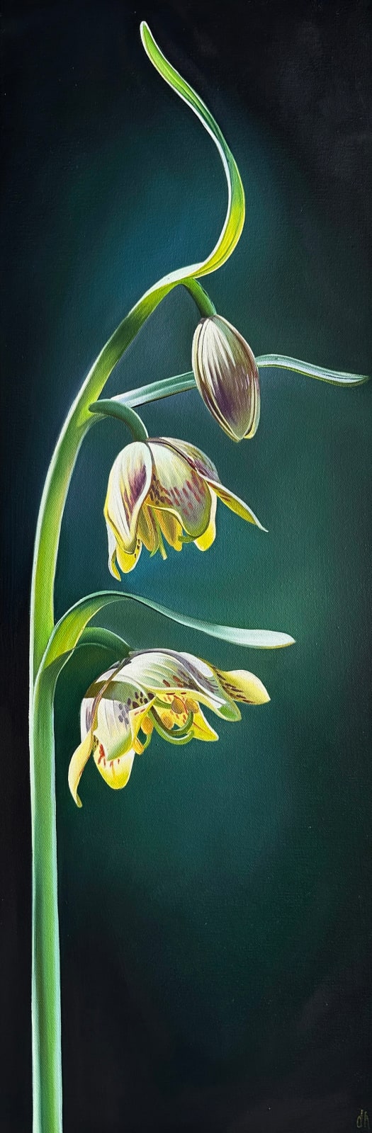 Dyana Hesson, "Waterfall, Fritillary, Barnhardt Waterfall Trail, Mazatzal Wilderness", 2025