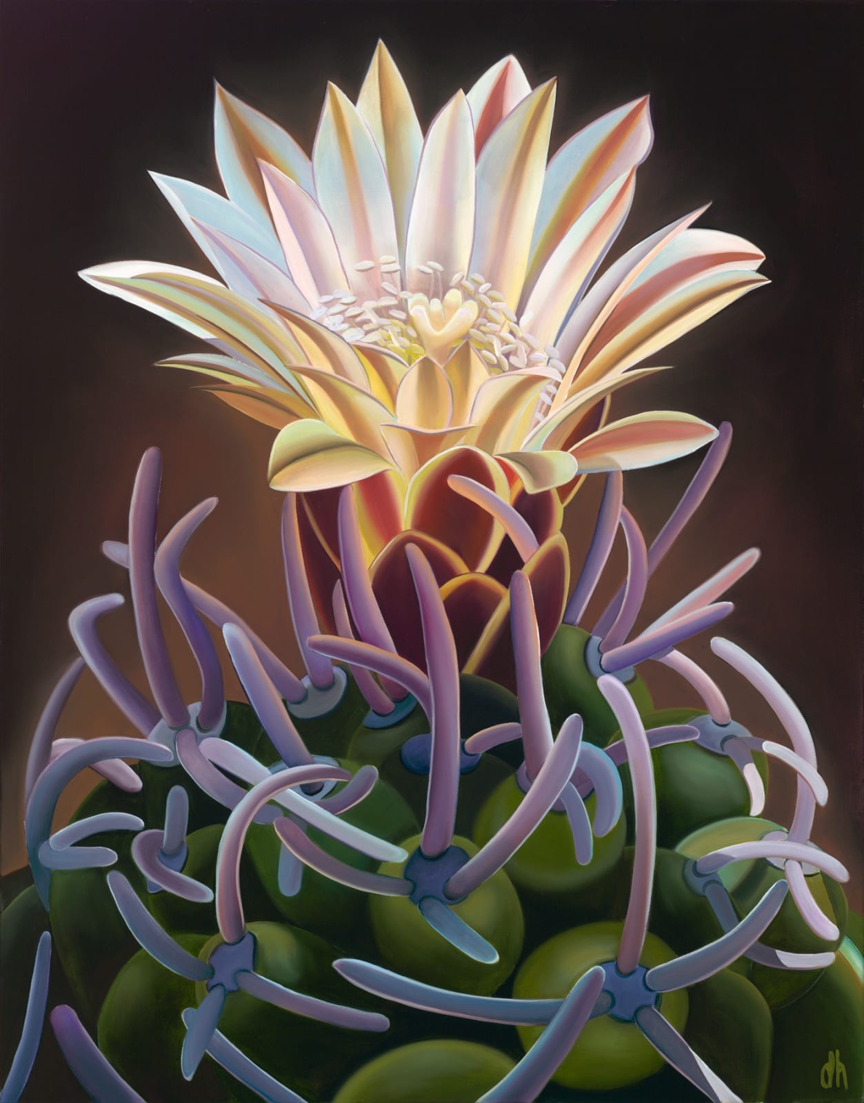 Dyana Hesson, "Rare Beauty, Fickeisen Plains Cactus, Arizona", 2025