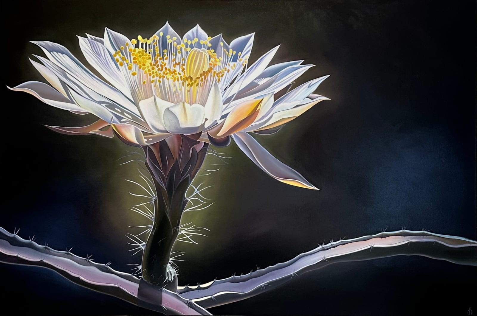 Dyana Hesson, "Royal Flush, Queen of the Night, McDowell Sonoran Preserve", 2025