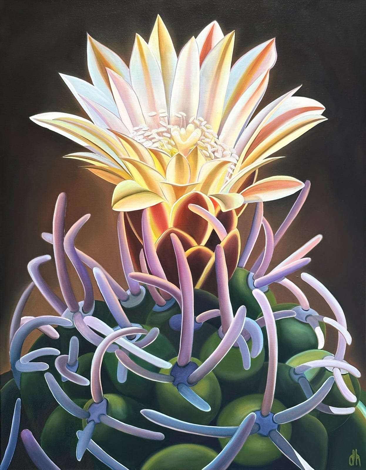 Dyana Hesson, "Rare Beauty, Fickeisen Plains Cactus, Arizona", 2025