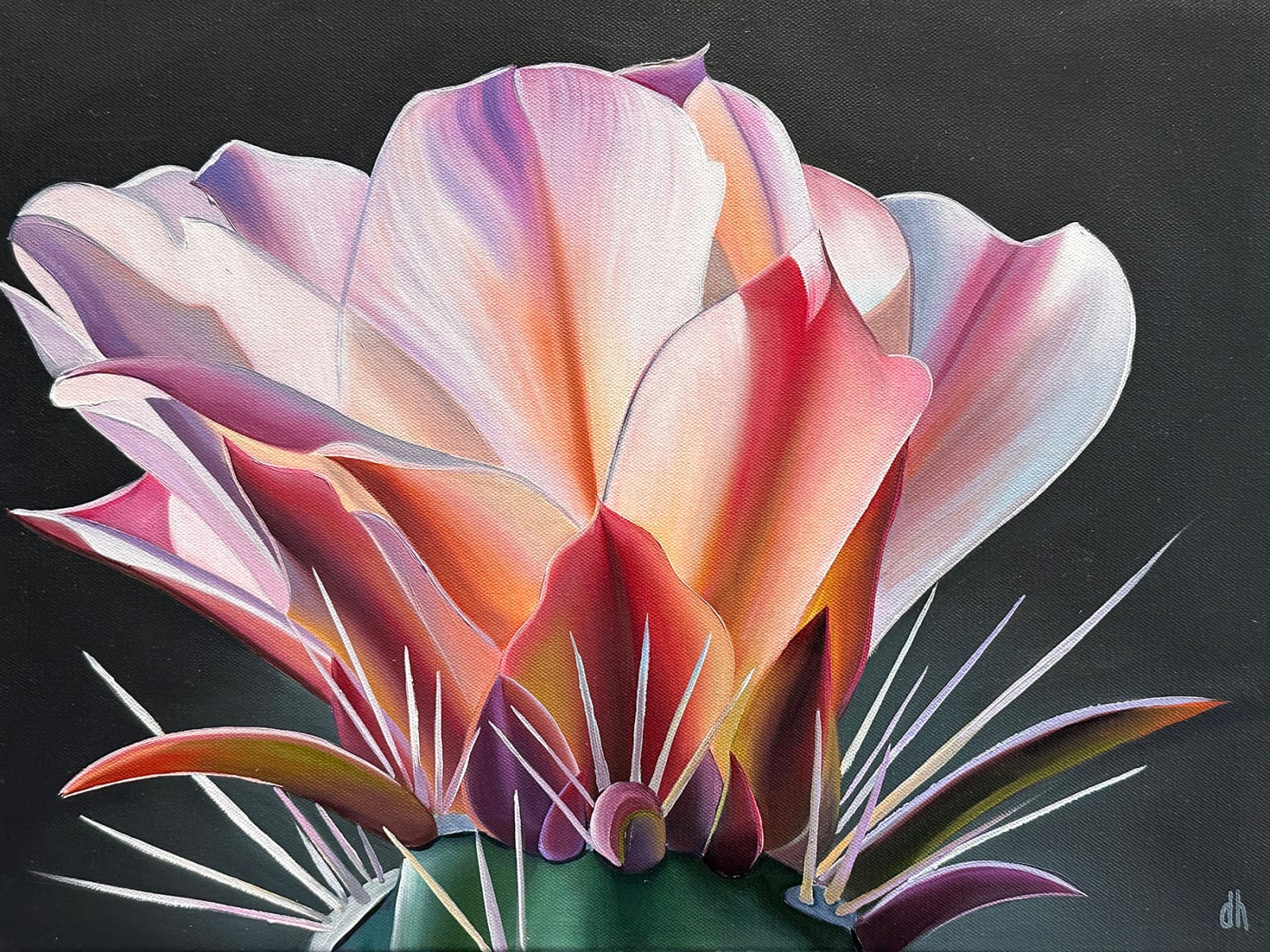 Dyana Hesson, "Faith, Buckhorn Cholla Blooms, Superstition Wilderness", 2024