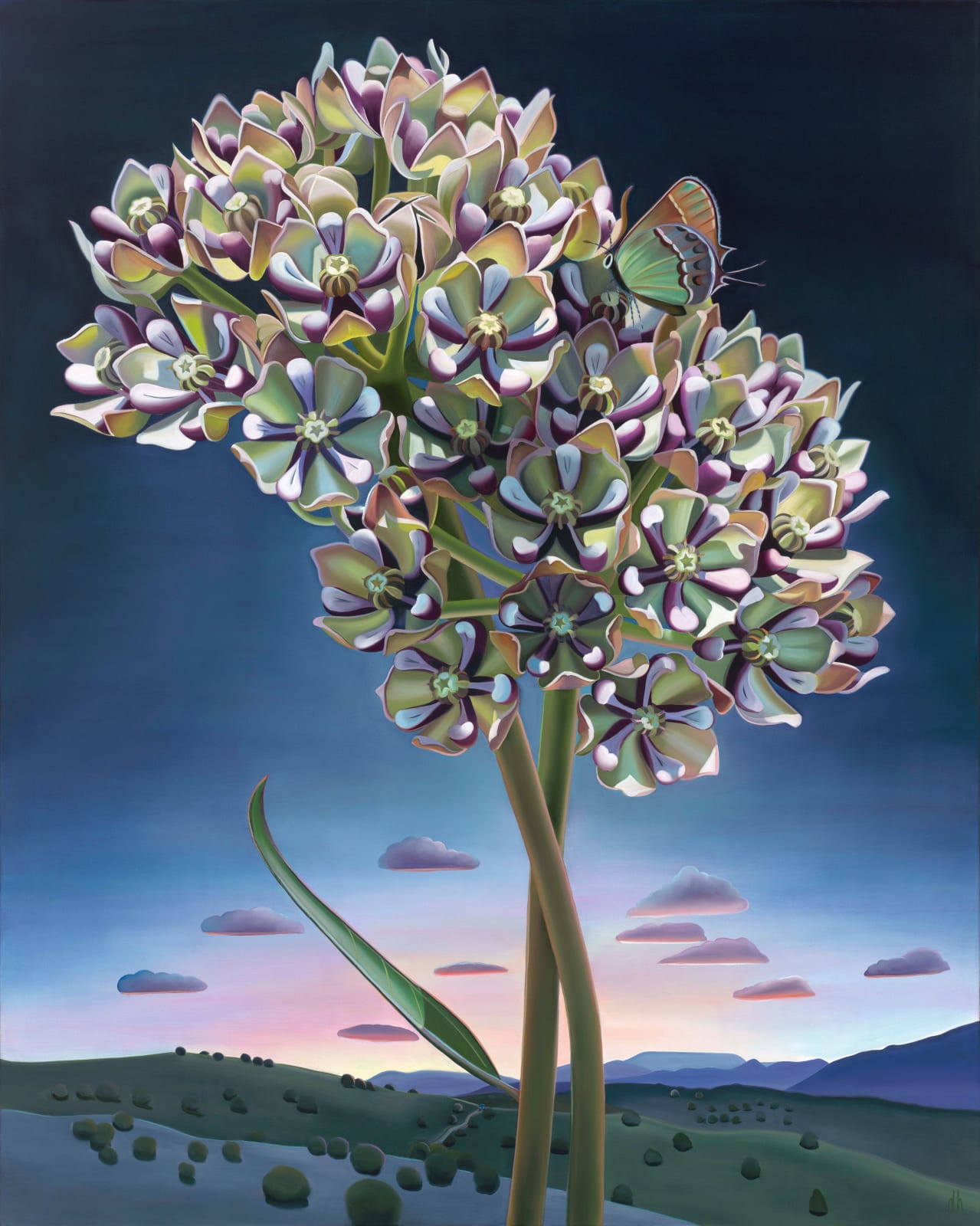 Dyana Hesson, "A Thousand Words, Antelope Horns Milkweed and Juniper Hairstreak Butterfly Near the East Verde River, AZ", 2024
