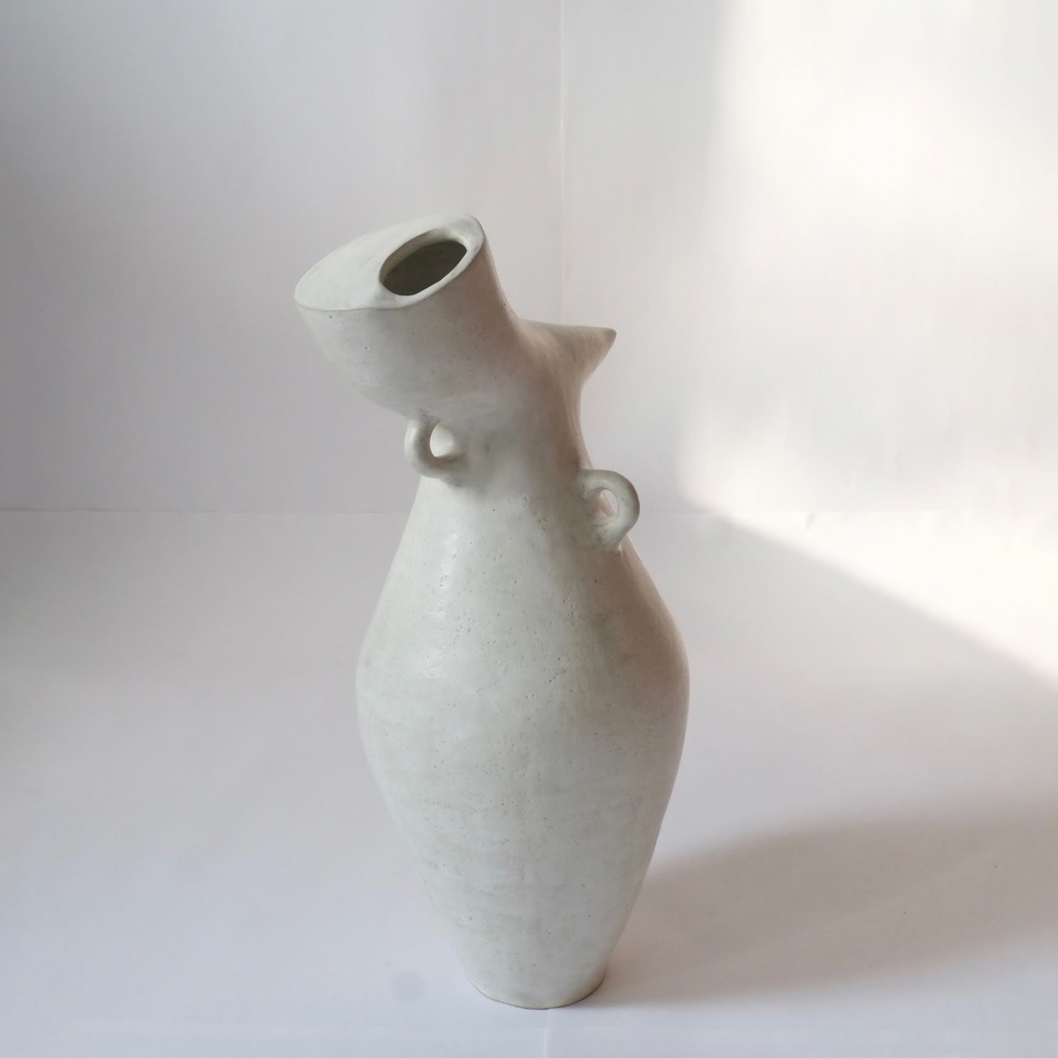 Charlyn Rayes, Bird Of Paradise Amphora, 2020