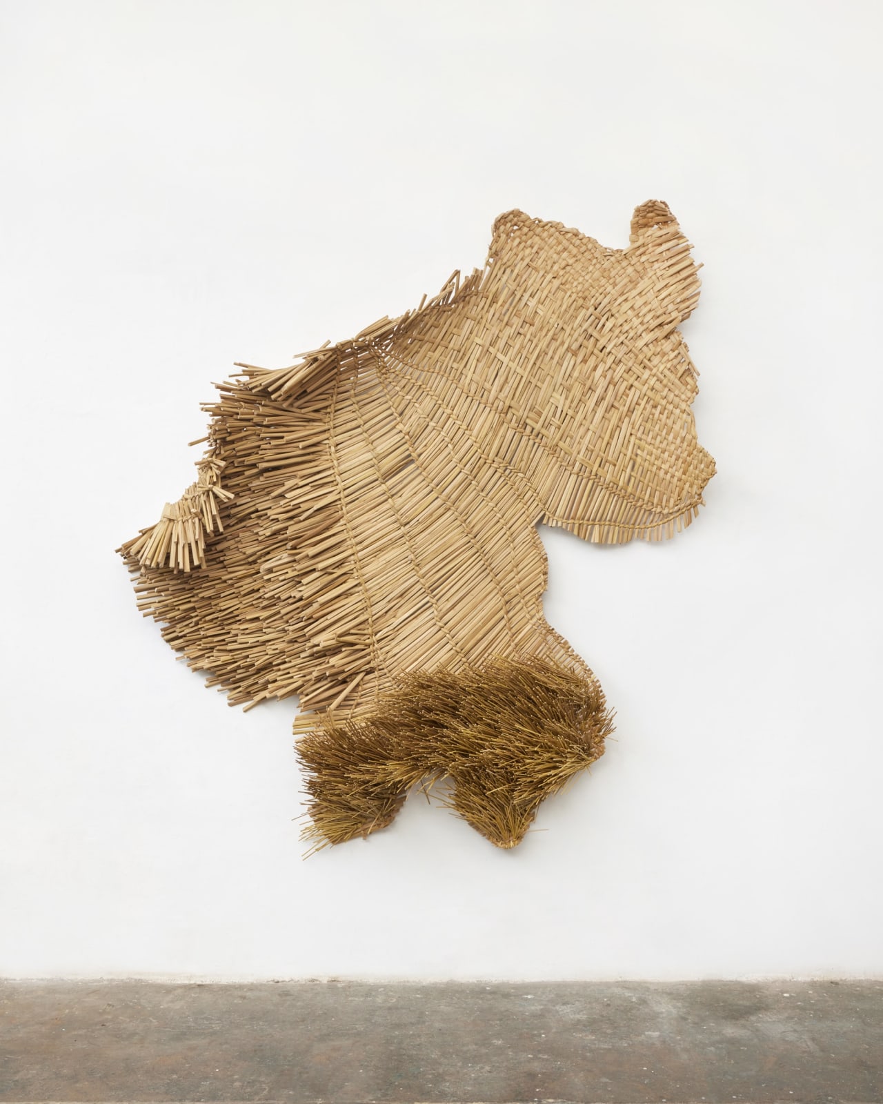 RF Studio, Humedal N°6 (Wetland), 2024