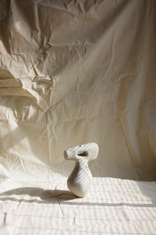 Abid Javed, P14 Pleomorph