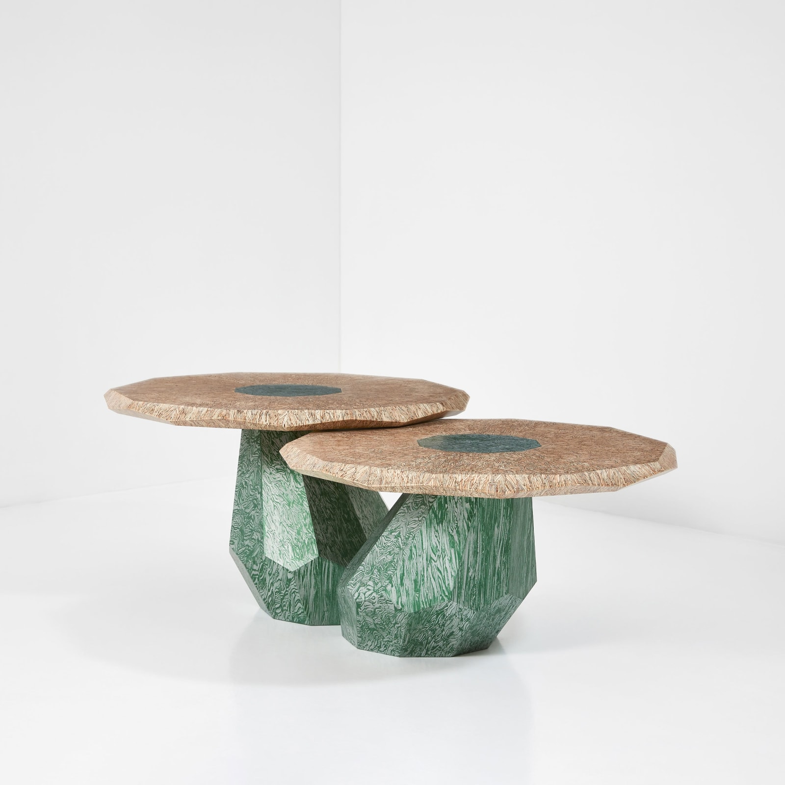 Weon Rhee, Primitive Structures (Botanical)