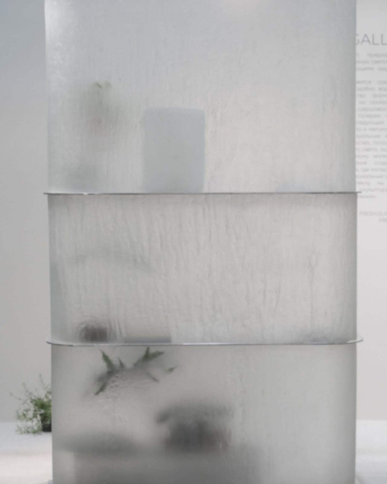 Fresh.Glass, Calmar Shelf, 2025