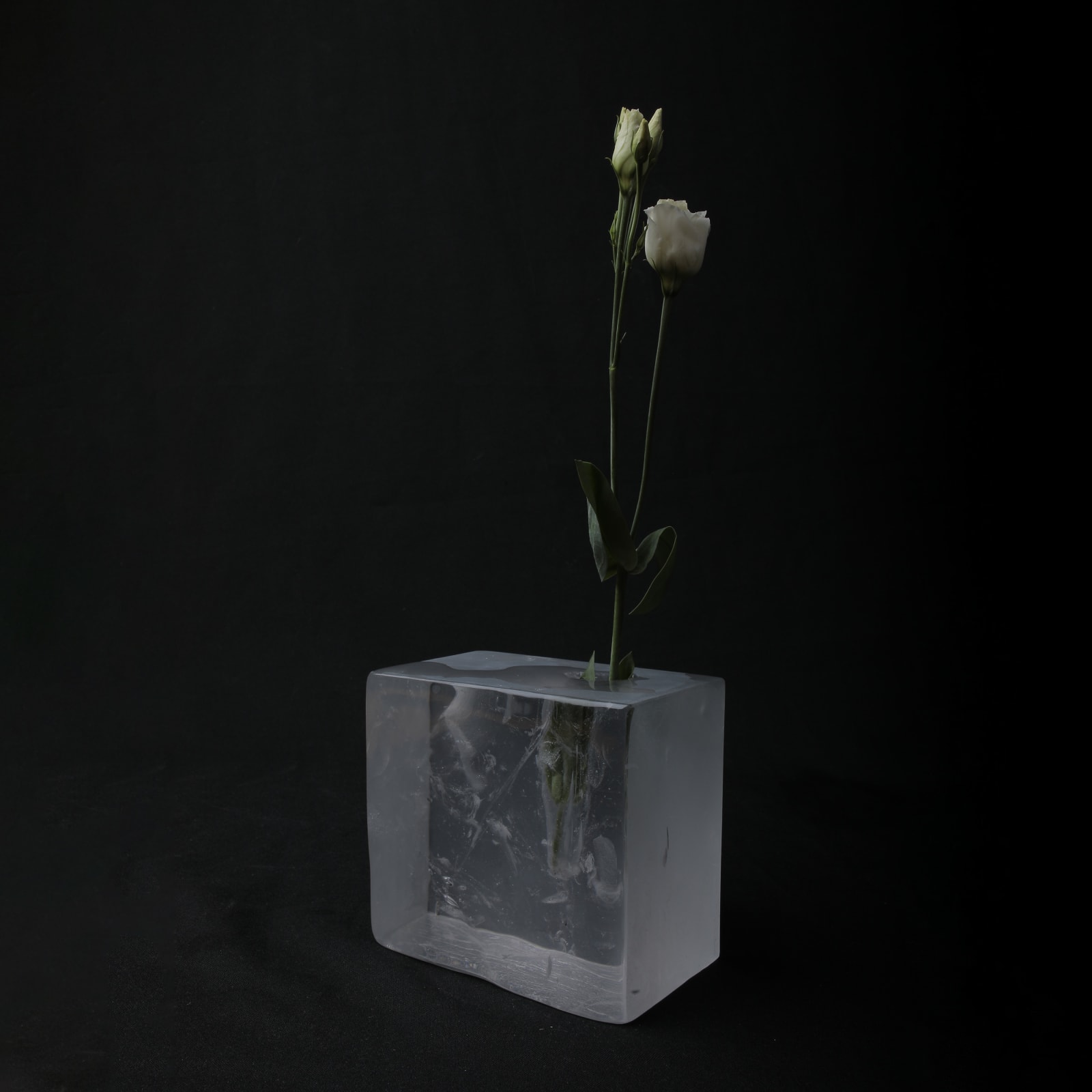 Fresh.Glass, FF Blocks, 2025